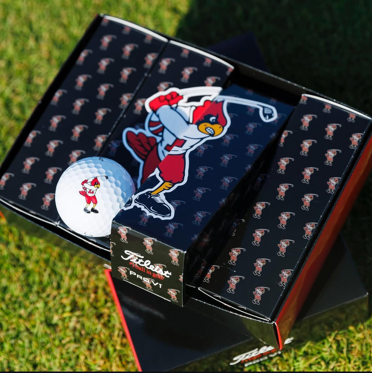 Titleist Pro V1 Dozen Golf Balls