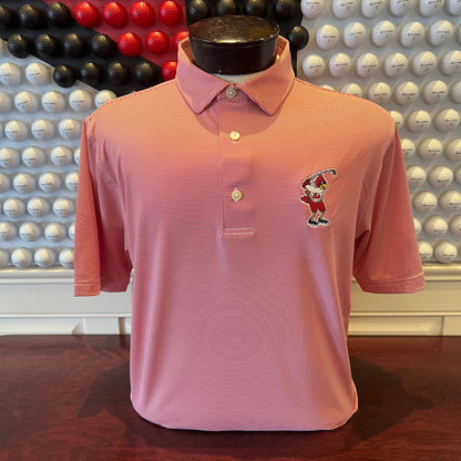 FootJoy MicroFeeder Polo